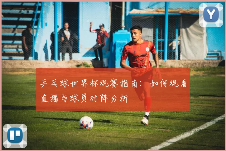 乒乓球世界杯观赛指南:如何观看直播与球员对阵分析