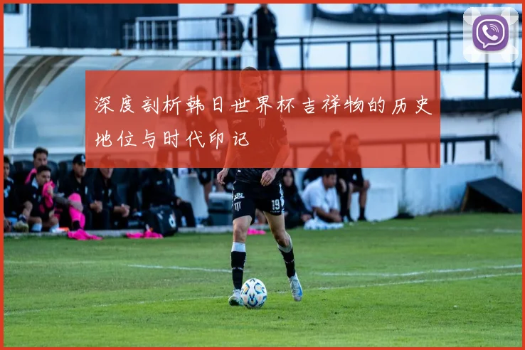 深度剖析韩日世界杯吉祥物的历史地位与时代印记