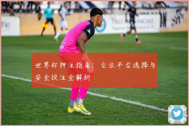 世界杯押注指南：合法平台选择与安全投注全解析