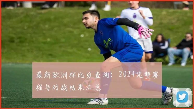 最新欧洲杯比分查询:2024完整赛程与对战结果汇总